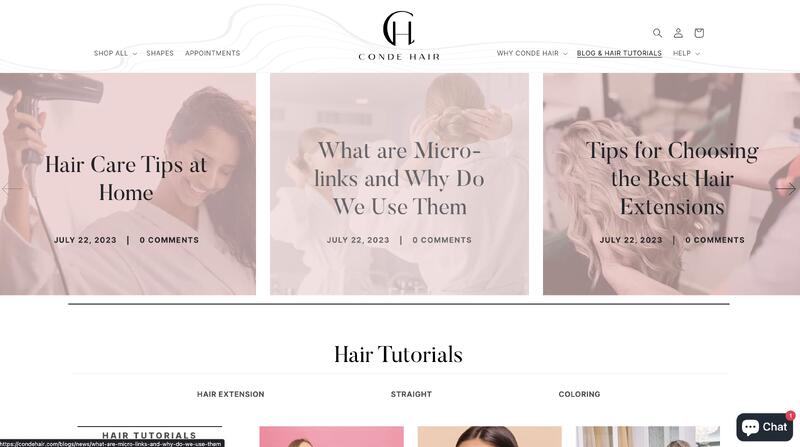 Blog Page View